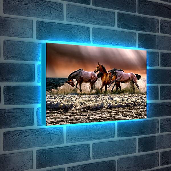 Лайтбокс световая панель - Купание лошадей