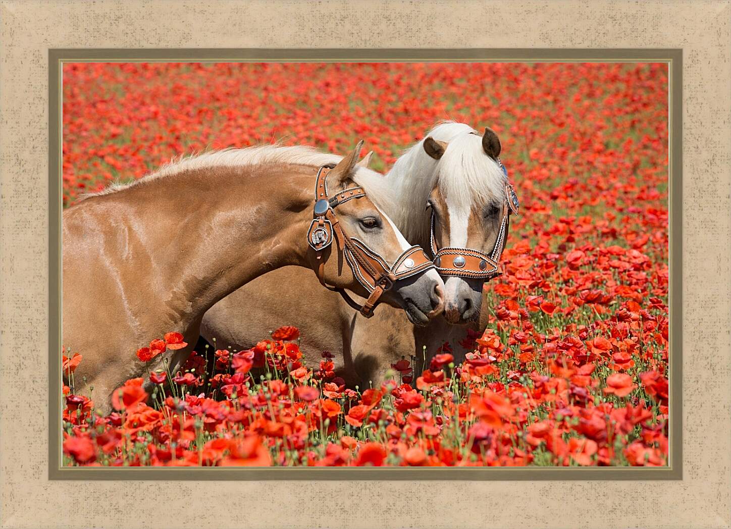 Картина в раме - Пара лошадей в маковом поле
