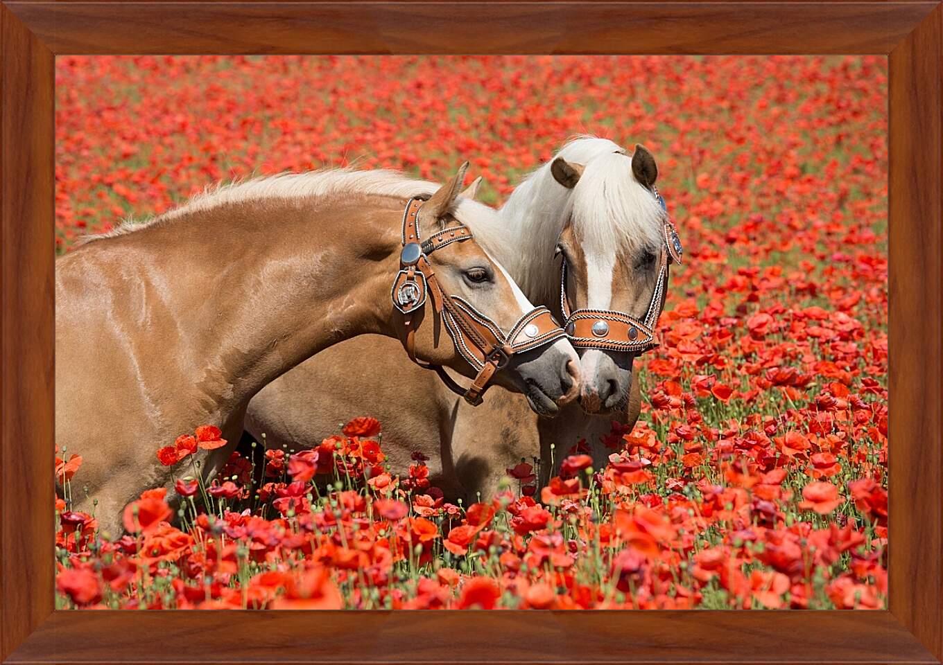 Картина в раме - Пара лошадей в маковом поле