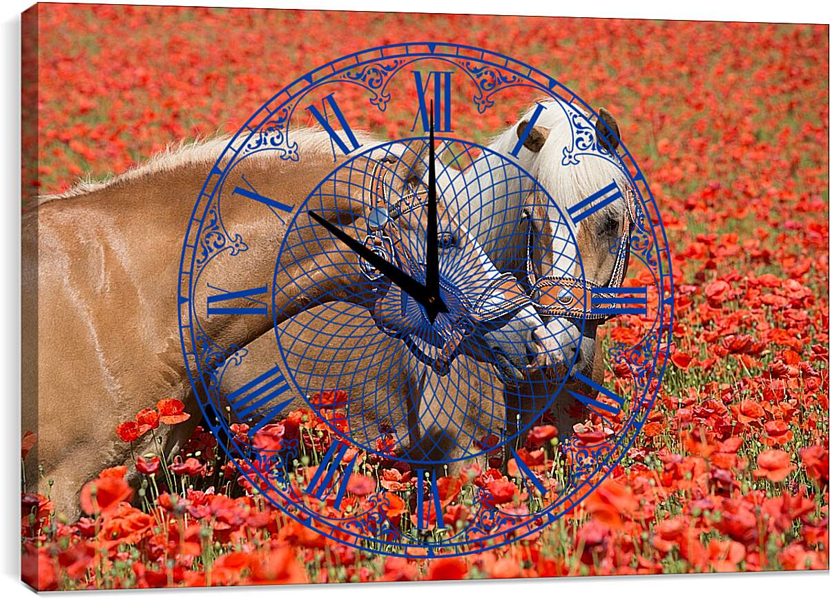 Часы картина - Пара лошадей в маковом поле
