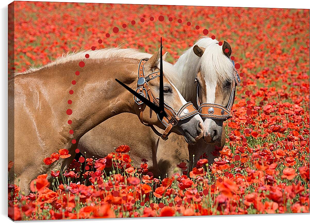 Часы картина - Пара лошадей в маковом поле
