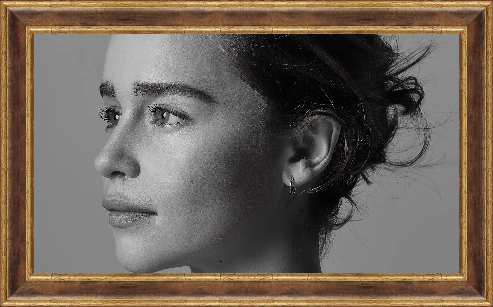 Картина в раме - Эмилия Кларк. Emilia Clarke