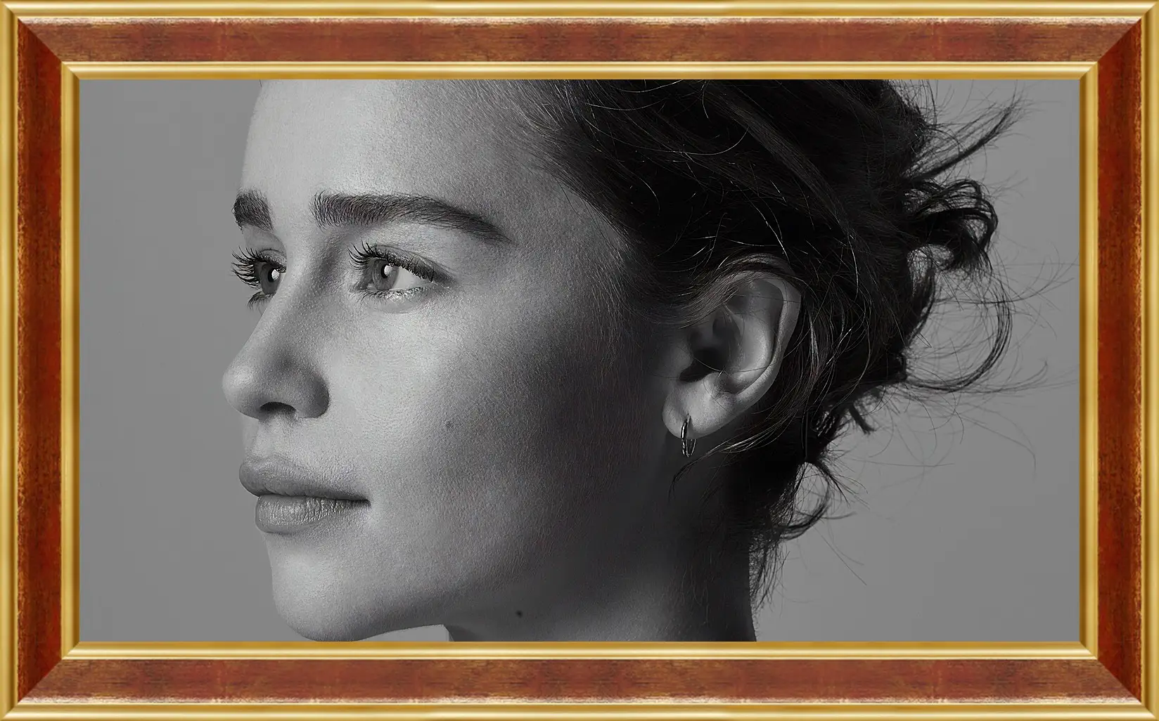 Картина в раме - Эмилия Кларк. Emilia Clarke