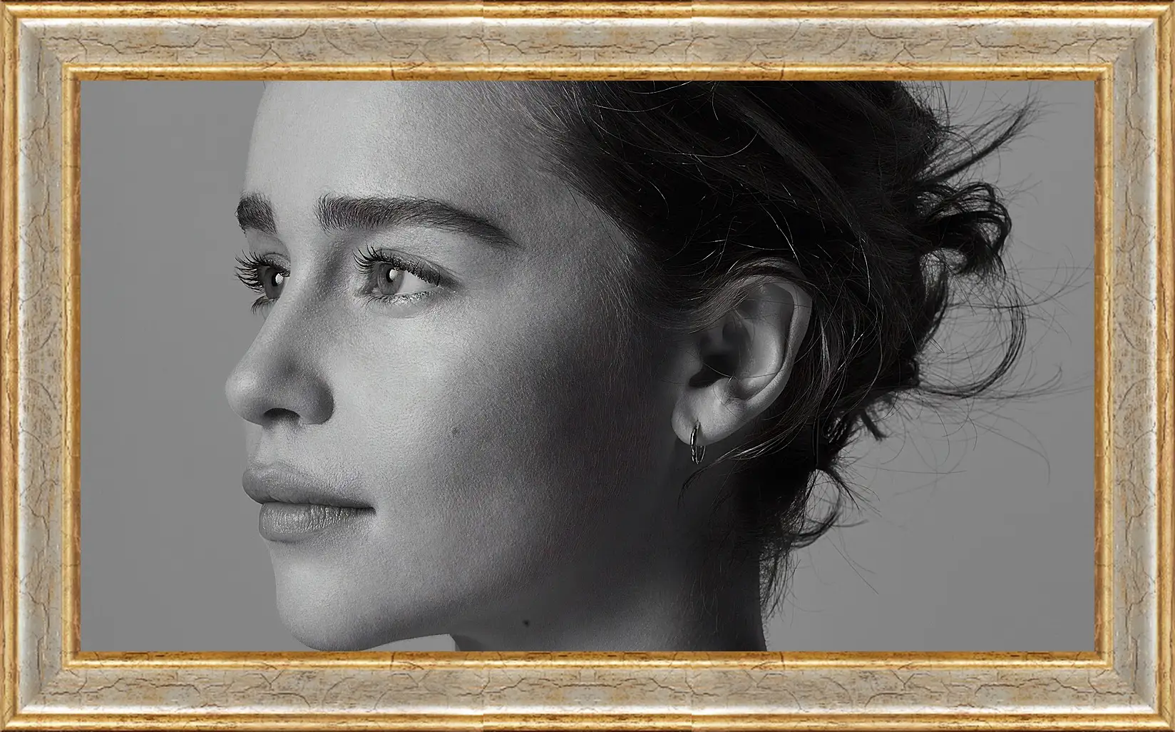 Картина в раме - Эмилия Кларк. Emilia Clarke