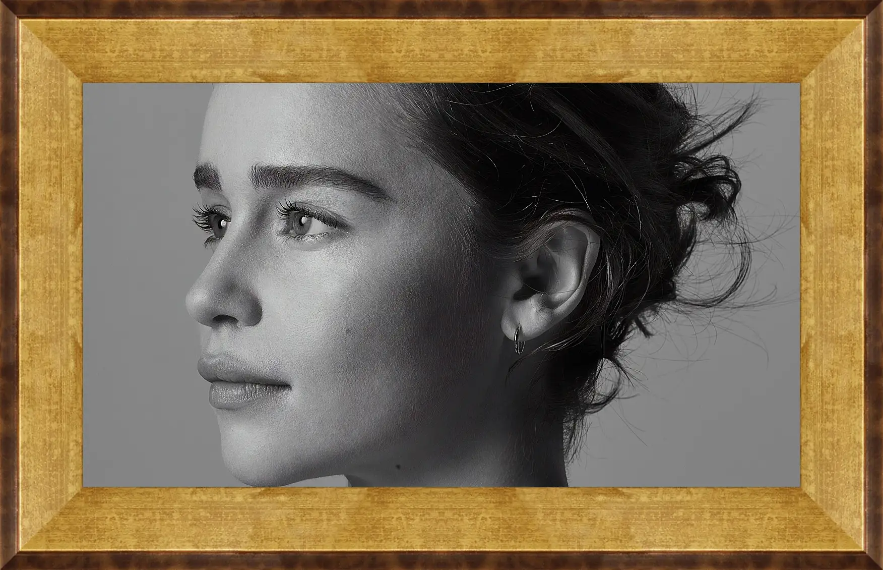 Картина в раме - Эмилия Кларк. Emilia Clarke