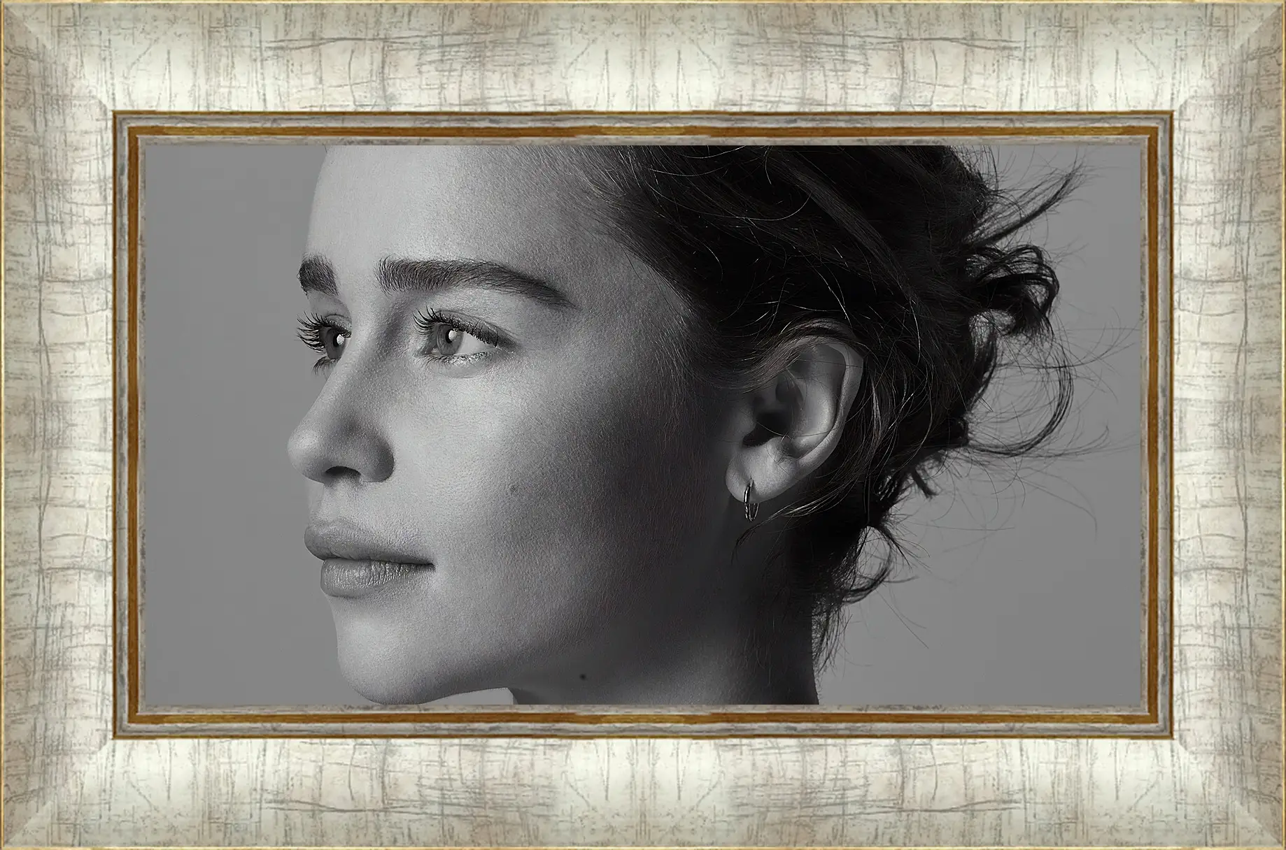 Картина в раме - Эмилия Кларк. Emilia Clarke