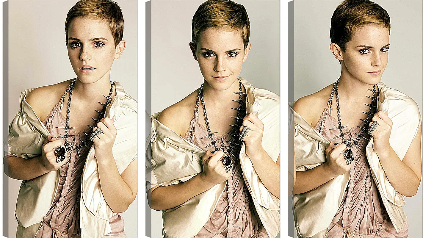 Модульная картина - Эмма Уотсон. Emma Watson