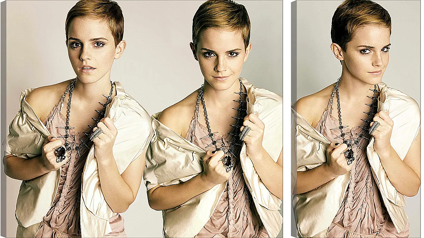 Модульная картина - Эмма Уотсон. Emma Watson