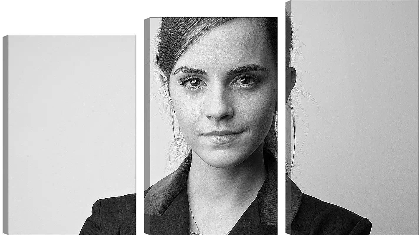 Модульная картина - Эмма Уотсон. Emma Watson