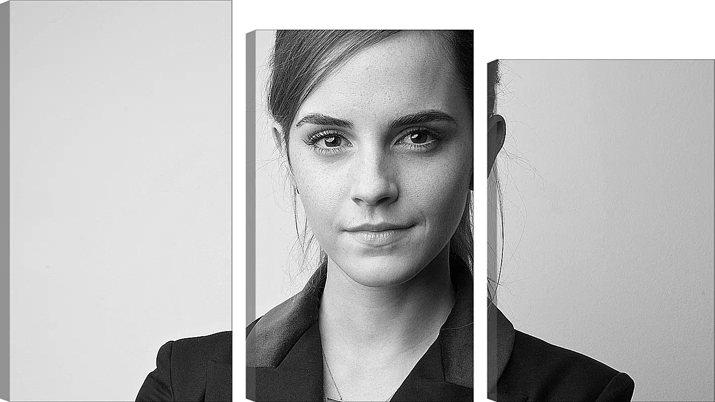 Модульная картина - Эмма Уотсон. Emma Watson