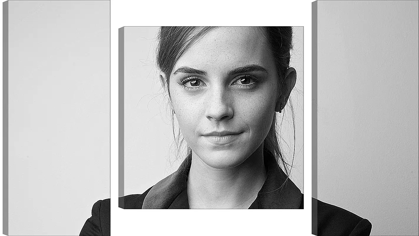 Модульная картина - Эмма Уотсон. Emma Watson