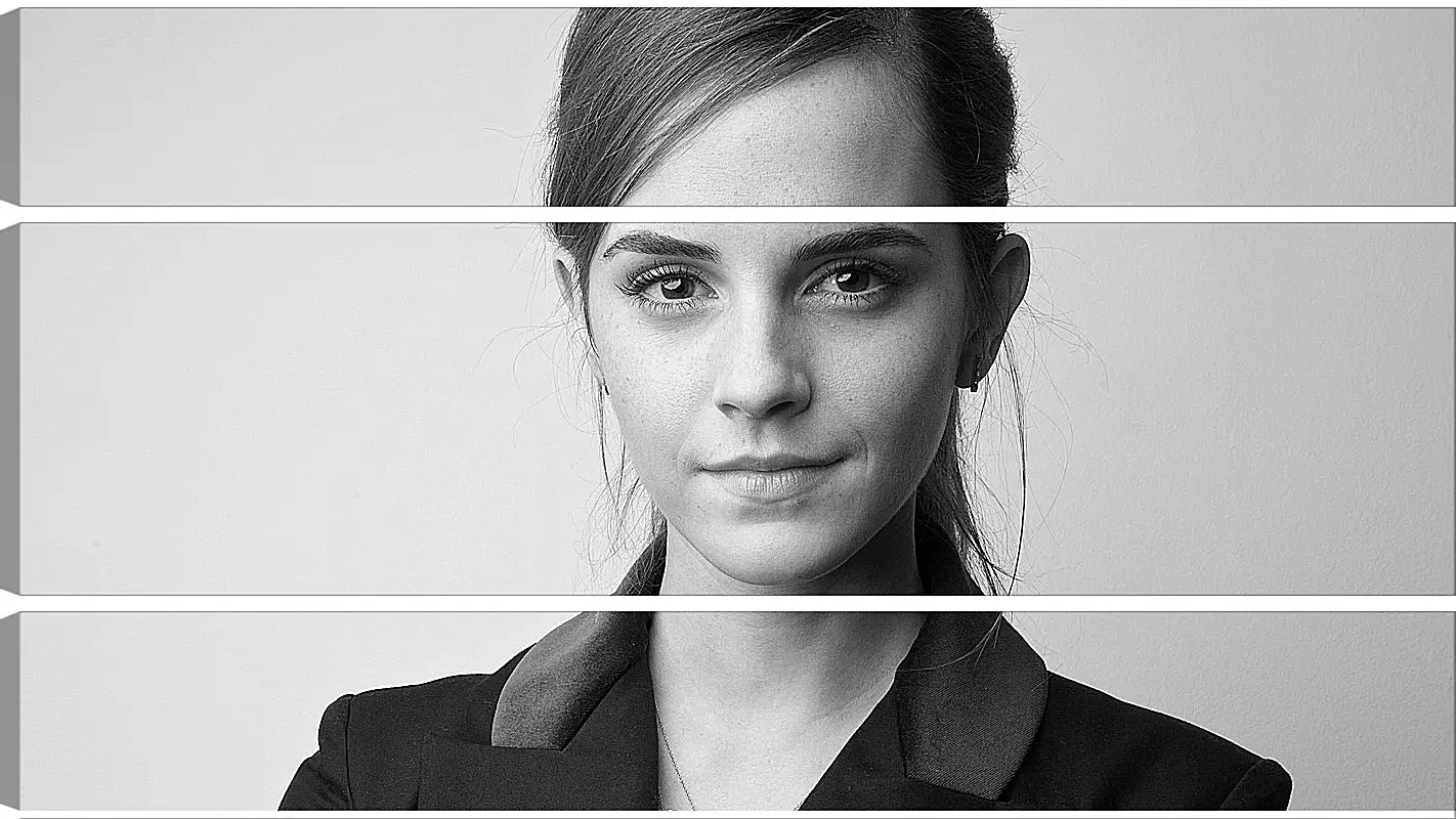 Модульная картина - Эмма Уотсон. Emma Watson