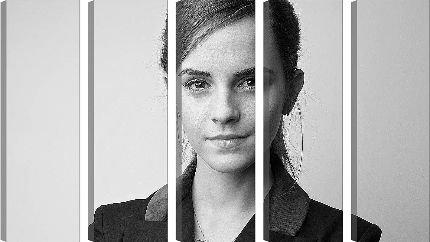 Модульная картина - Эмма Уотсон. Emma Watson