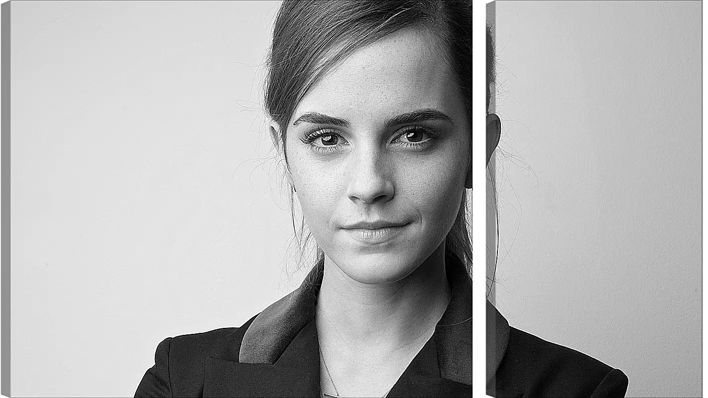 Модульная картина - Эмма Уотсон. Emma Watson