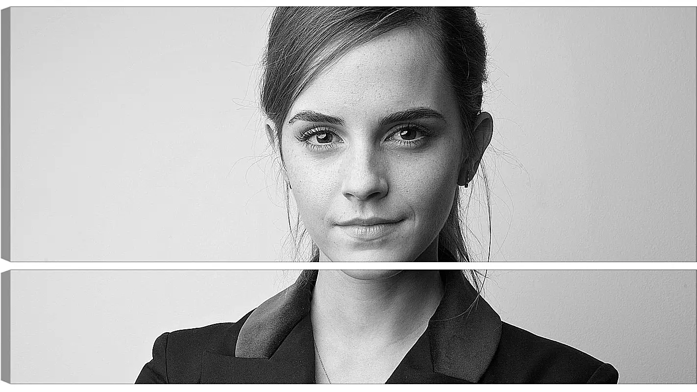 Модульная картина - Эмма Уотсон. Emma Watson