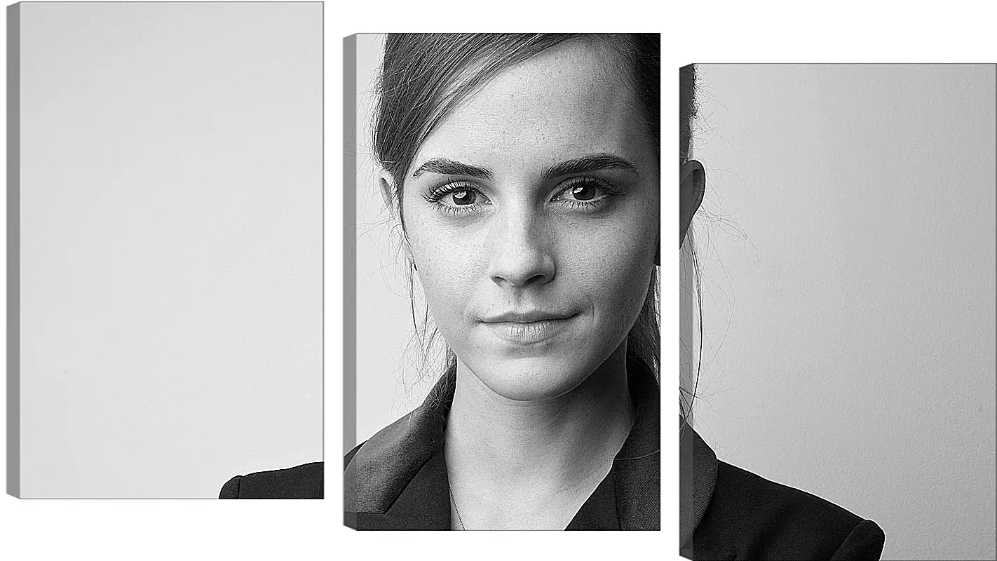 Модульная картина - Эмма Уотсон. Emma Watson