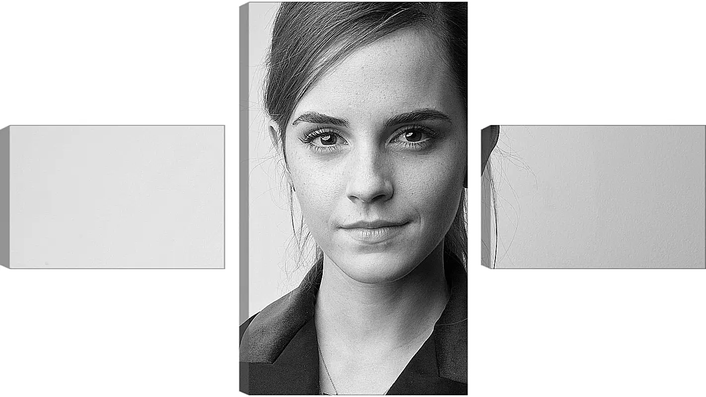 Модульная картина - Эмма Уотсон. Emma Watson