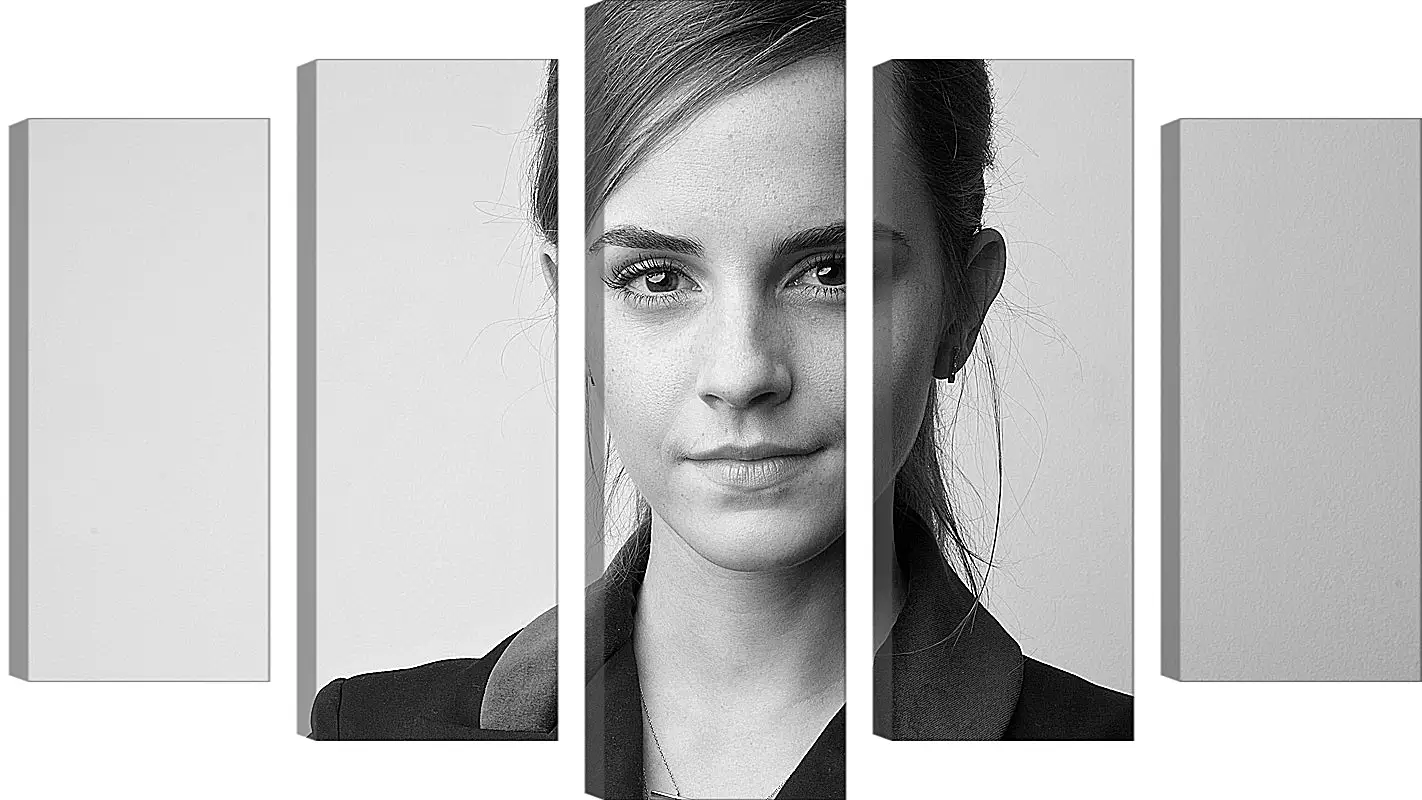 Модульная картина - Эмма Уотсон. Emma Watson