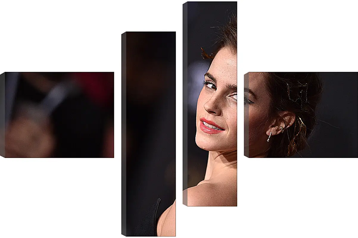 Модульная картина - Эмма Уотсон. Emma Watson