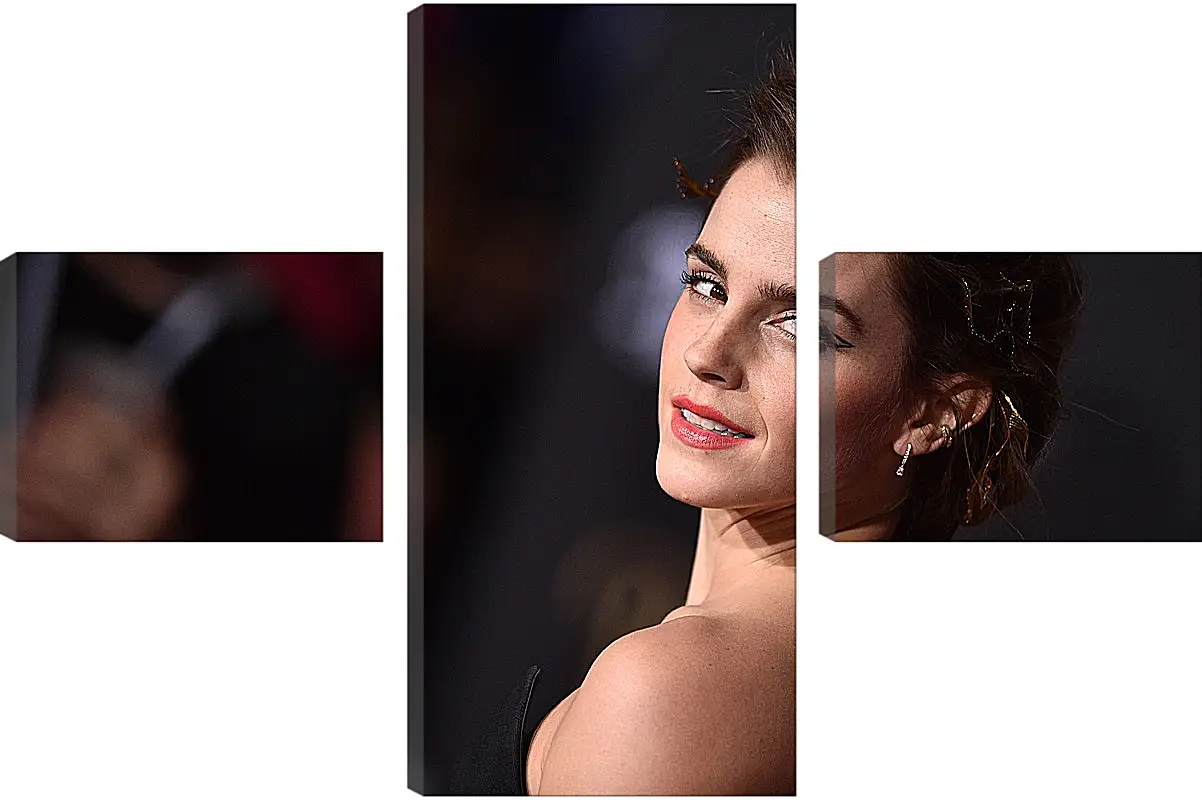 Модульная картина - Эмма Уотсон. Emma Watson