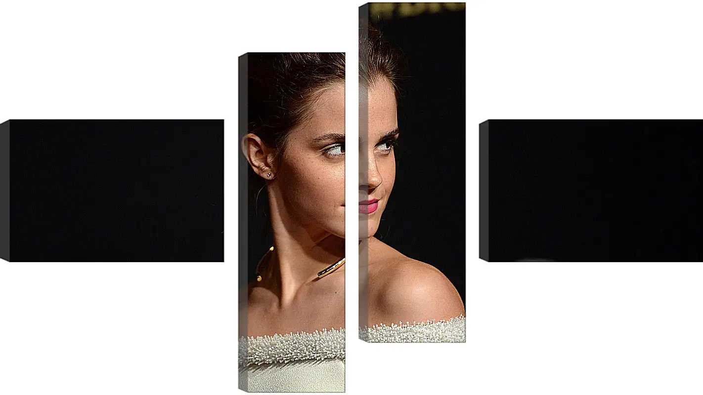 Модульная картина - Эмма Уотсон. Emma Watson