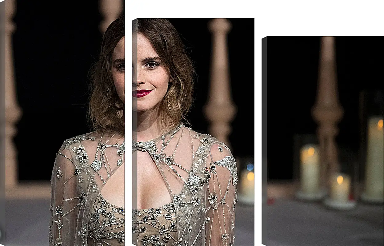 Модульная картина - Эмма Уотсон. Emma Watson