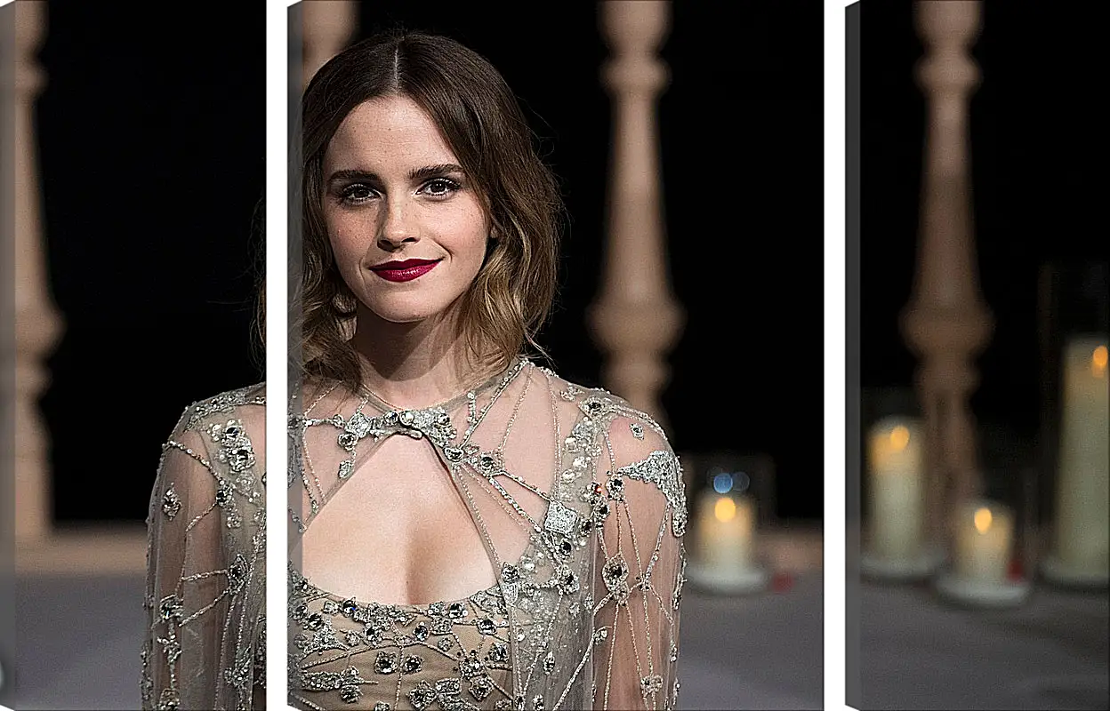 Модульная картина - Эмма Уотсон. Emma Watson