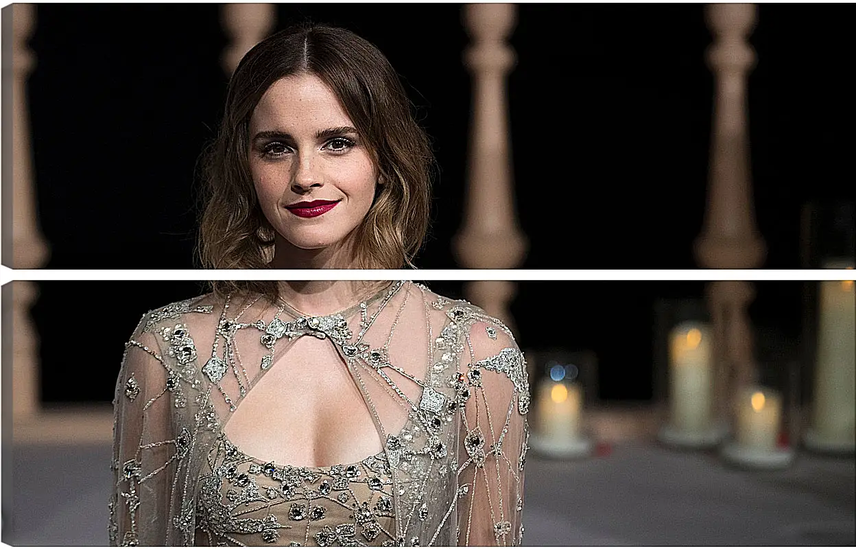 Модульная картина - Эмма Уотсон. Emma Watson