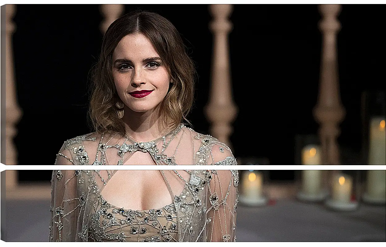 Модульная картина - Эмма Уотсон. Emma Watson