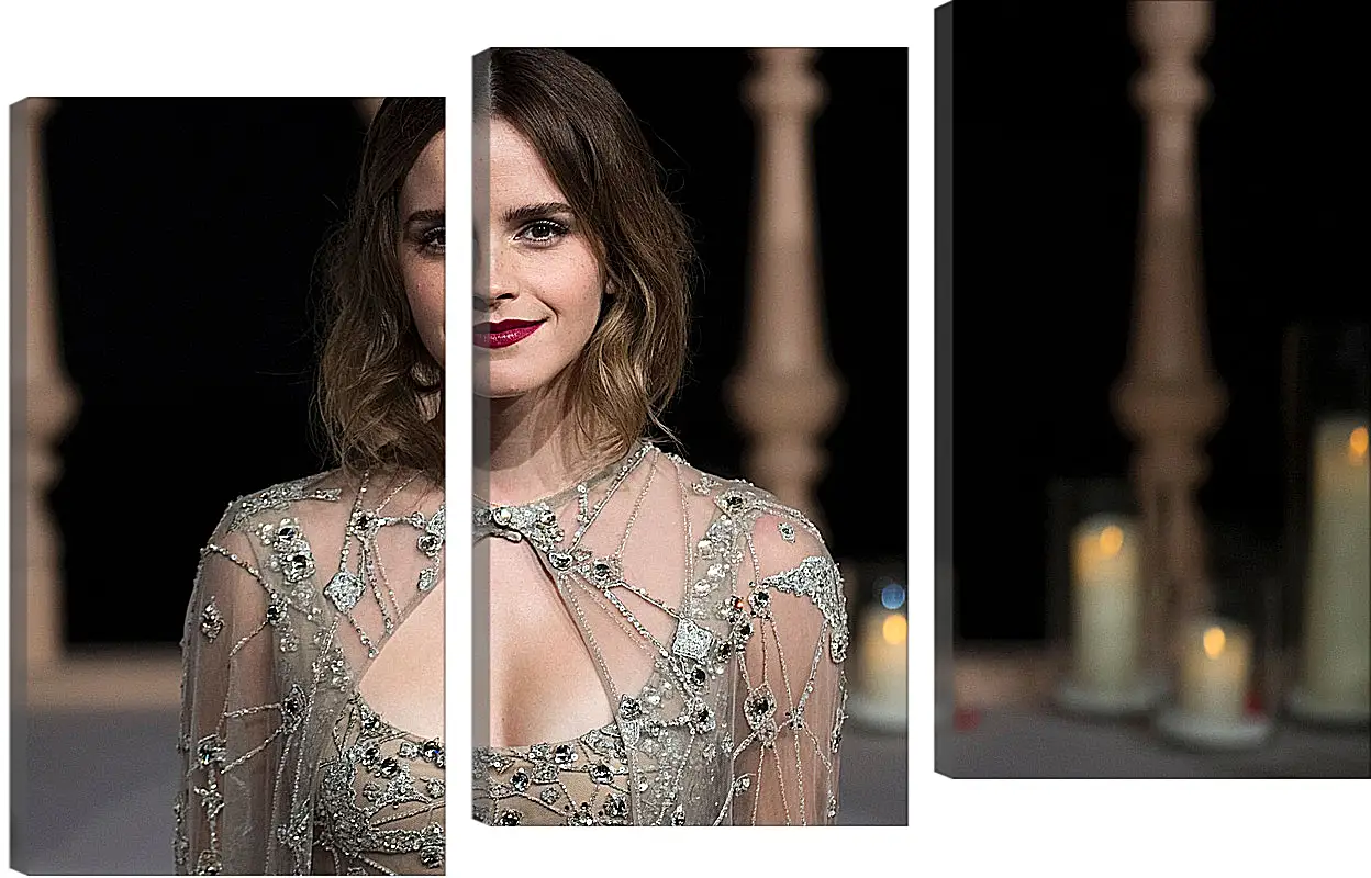 Модульная картина - Эмма Уотсон. Emma Watson