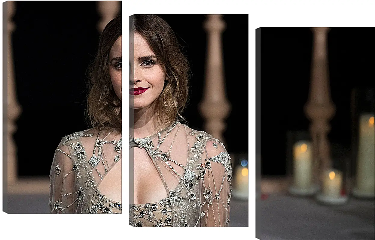 Модульная картина - Эмма Уотсон. Emma Watson