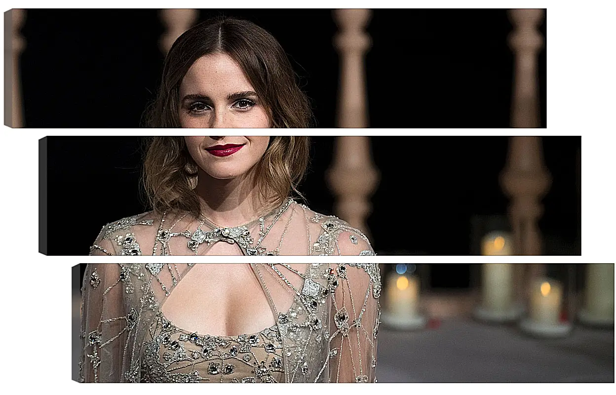 Модульная картина - Эмма Уотсон. Emma Watson