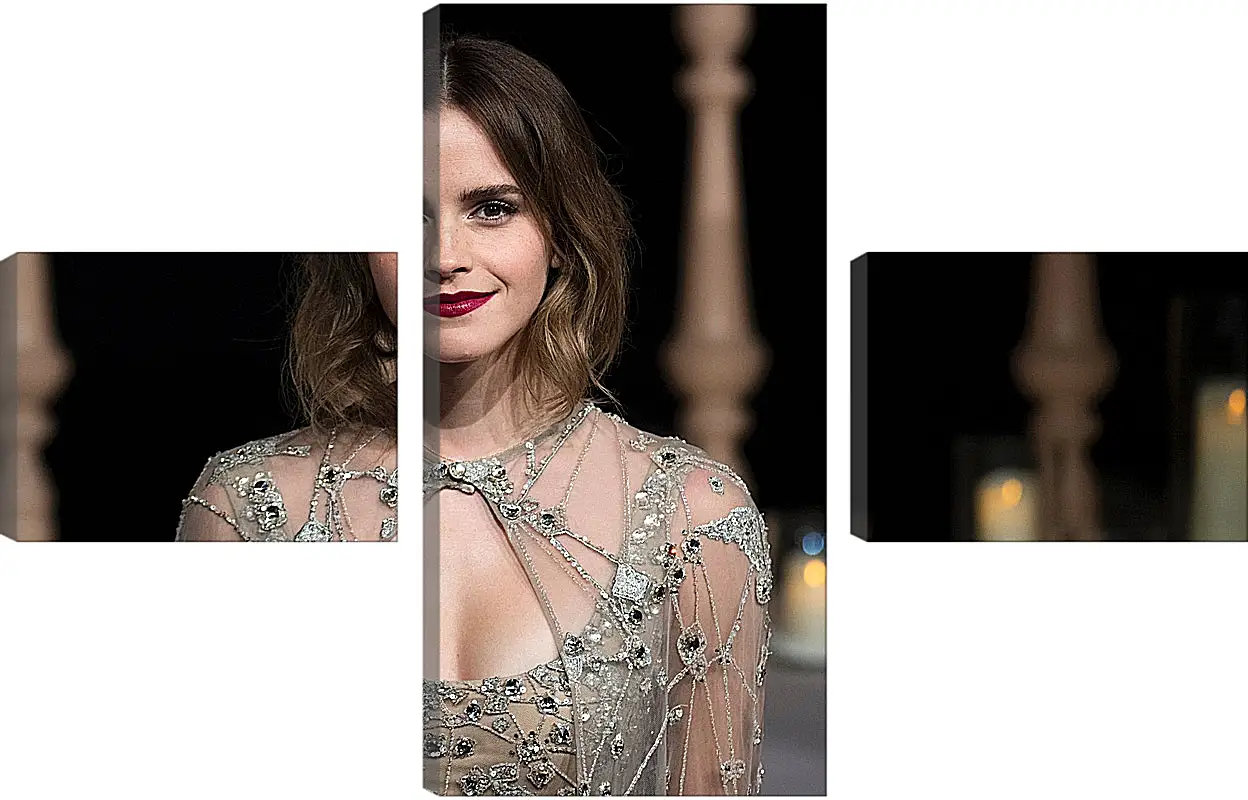 Модульная картина - Эмма Уотсон. Emma Watson