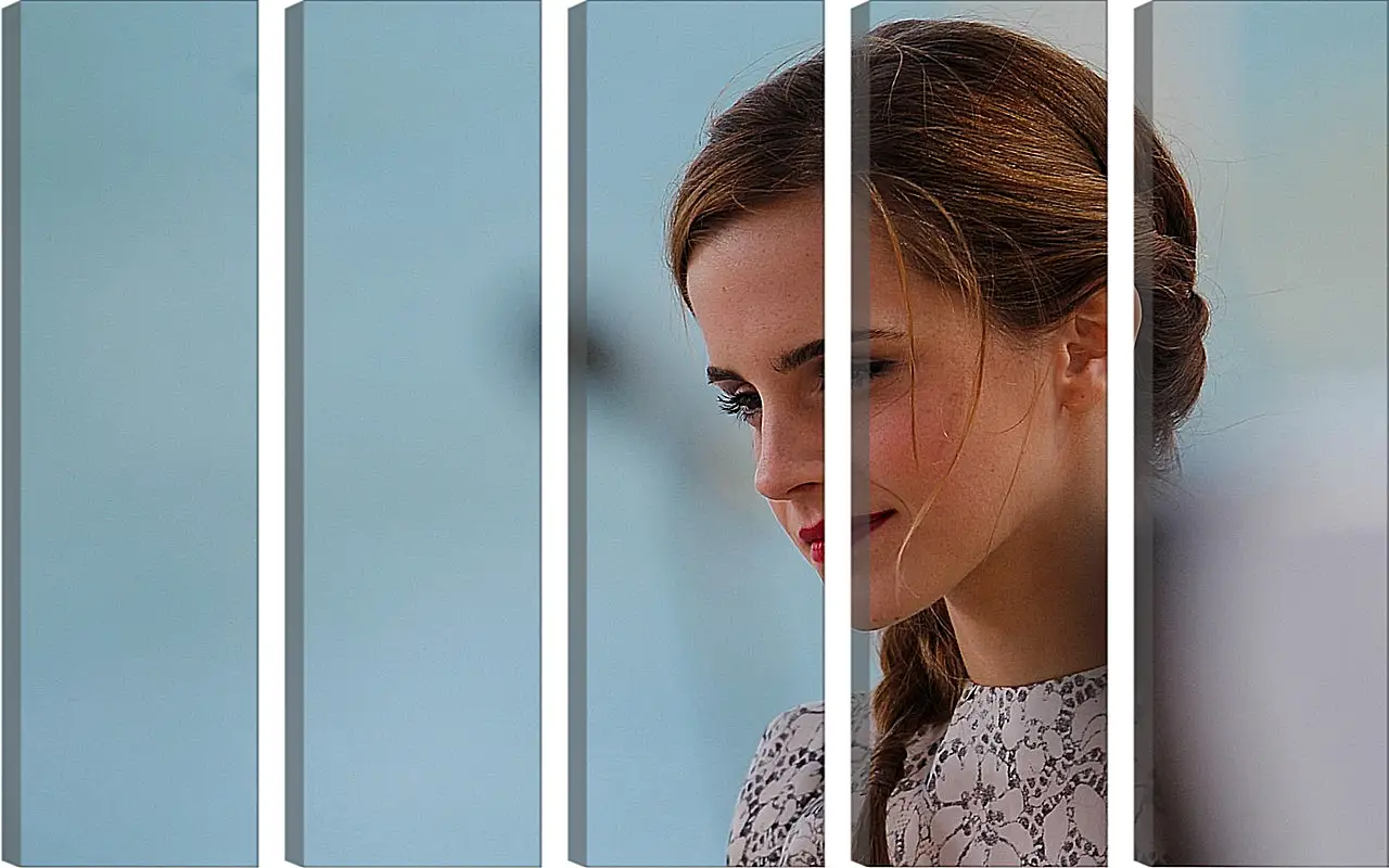 Модульная картина - Эмма Уотсон. Emma Watson