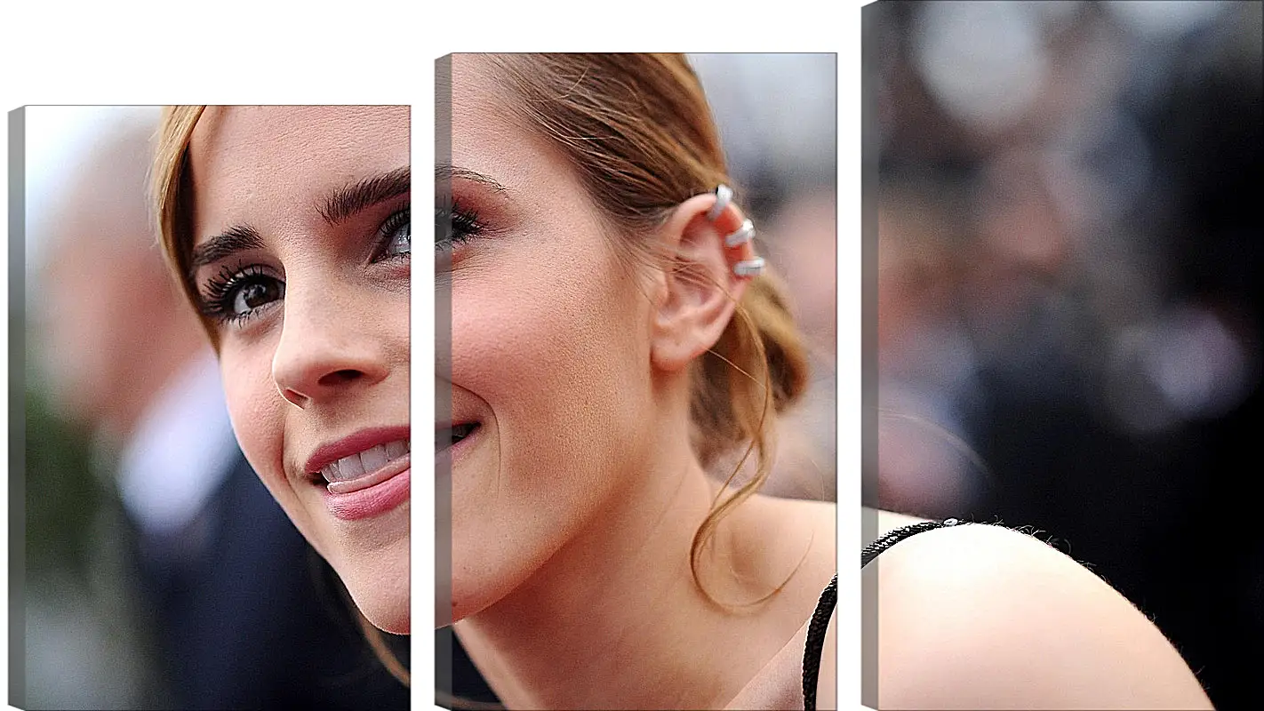 Модульная картина - Эмма Уотсон. Emma Watson