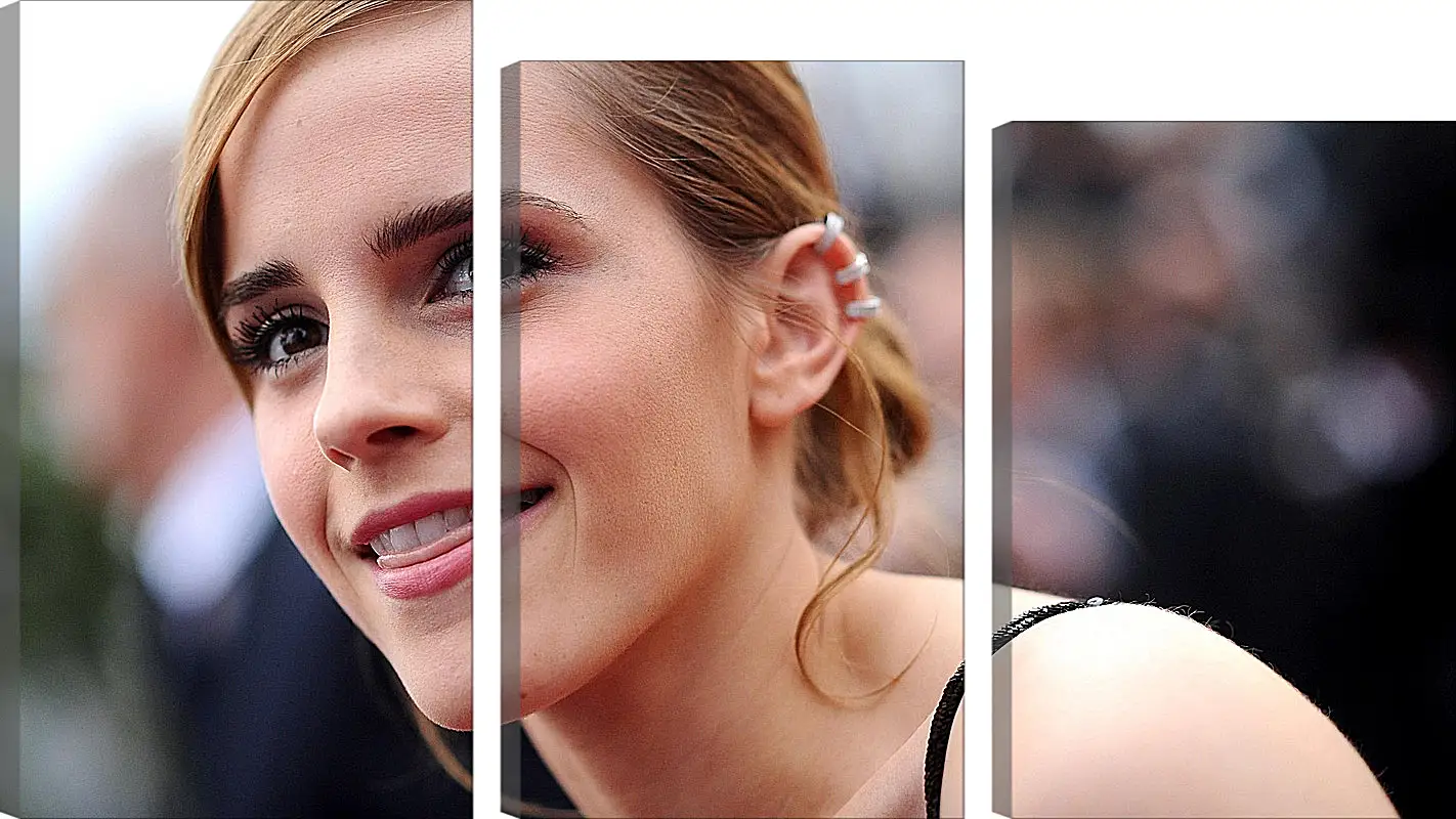 Модульная картина - Эмма Уотсон. Emma Watson