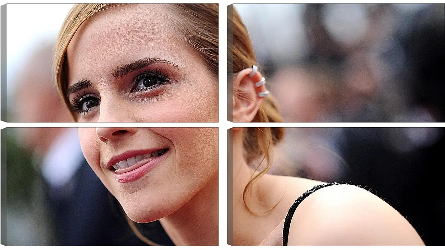 Модульная картина - Эмма Уотсон. Emma Watson