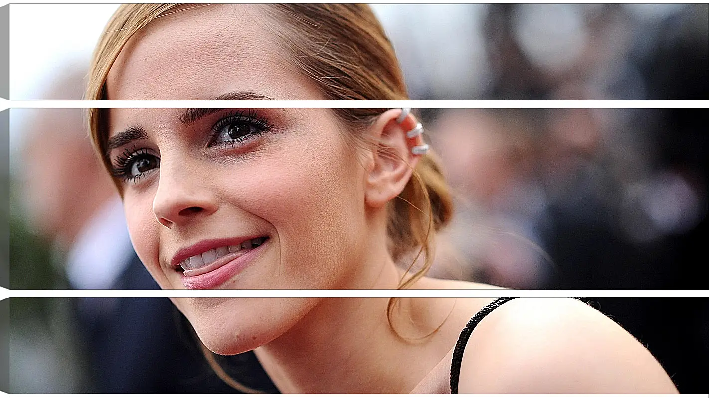 Модульная картина - Эмма Уотсон. Emma Watson