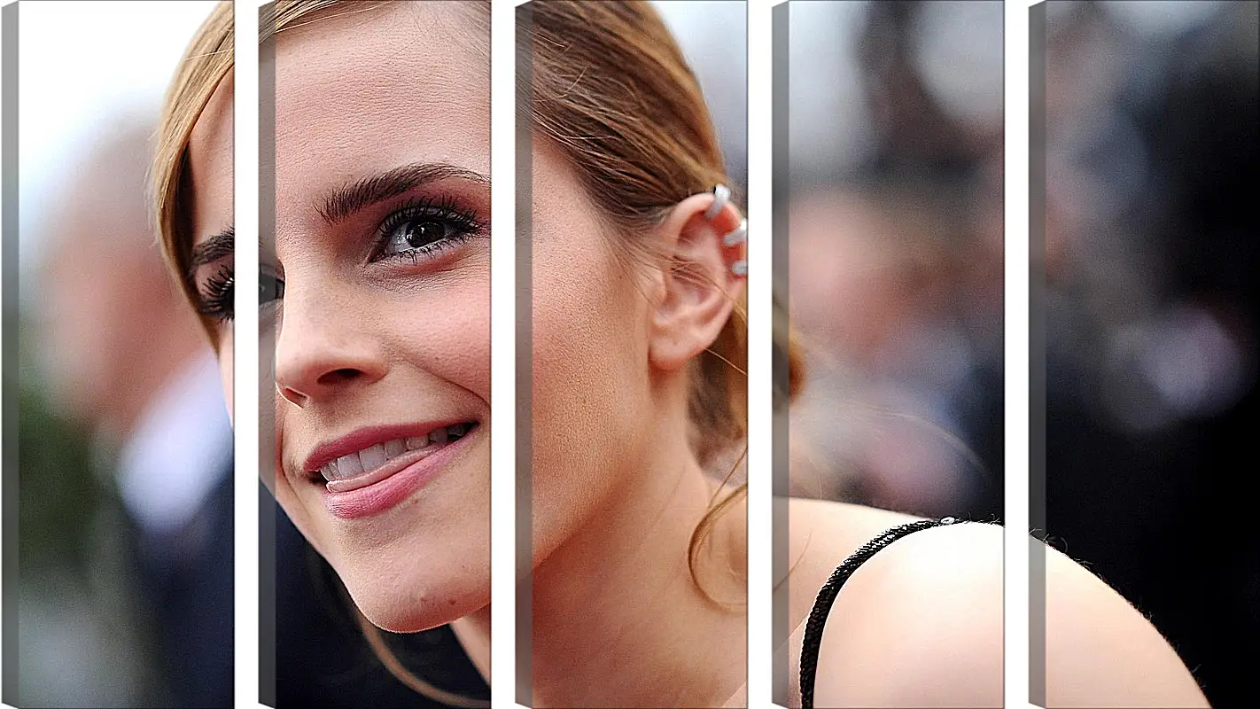 Модульная картина - Эмма Уотсон. Emma Watson