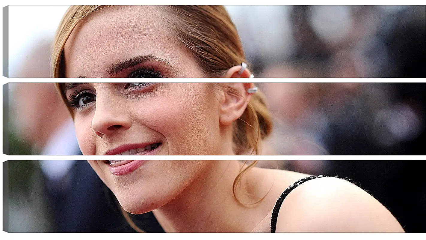 Модульная картина - Эмма Уотсон. Emma Watson