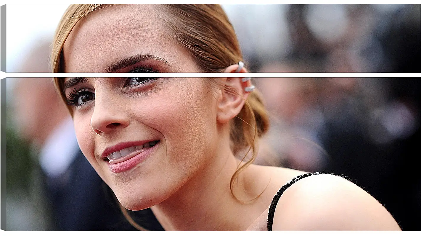 Модульная картина - Эмма Уотсон. Emma Watson