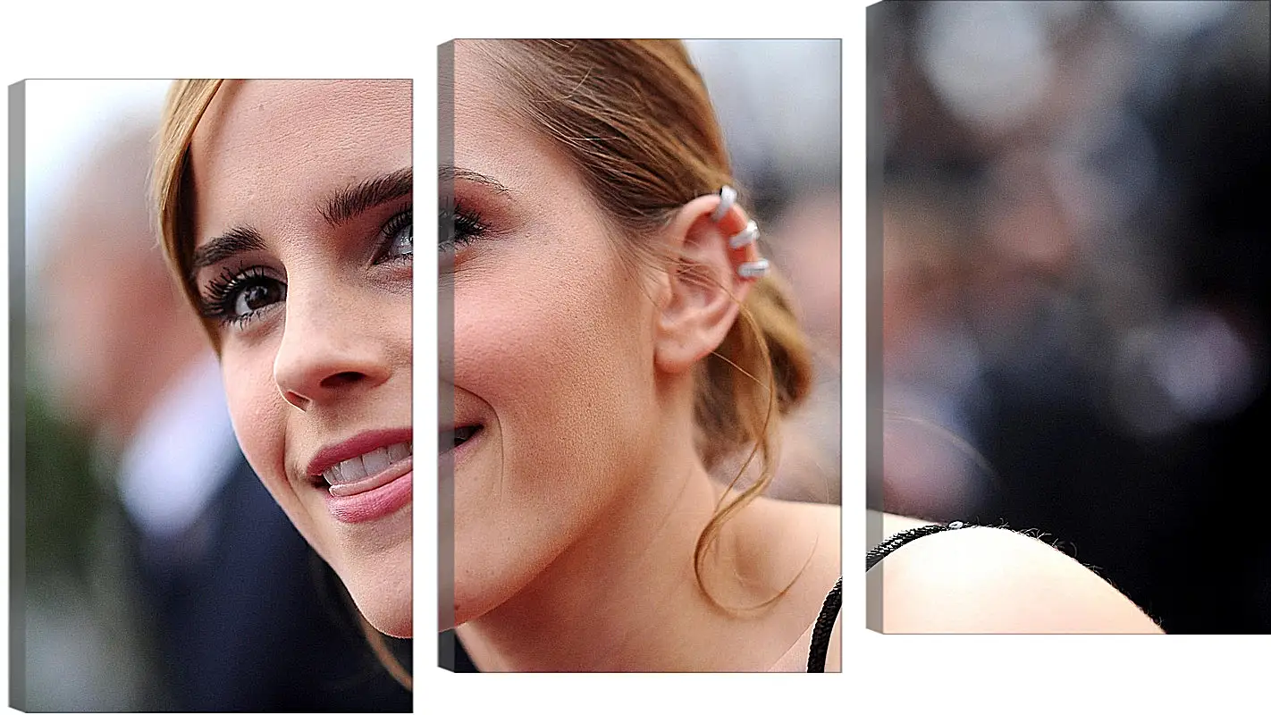 Модульная картина - Эмма Уотсон. Emma Watson