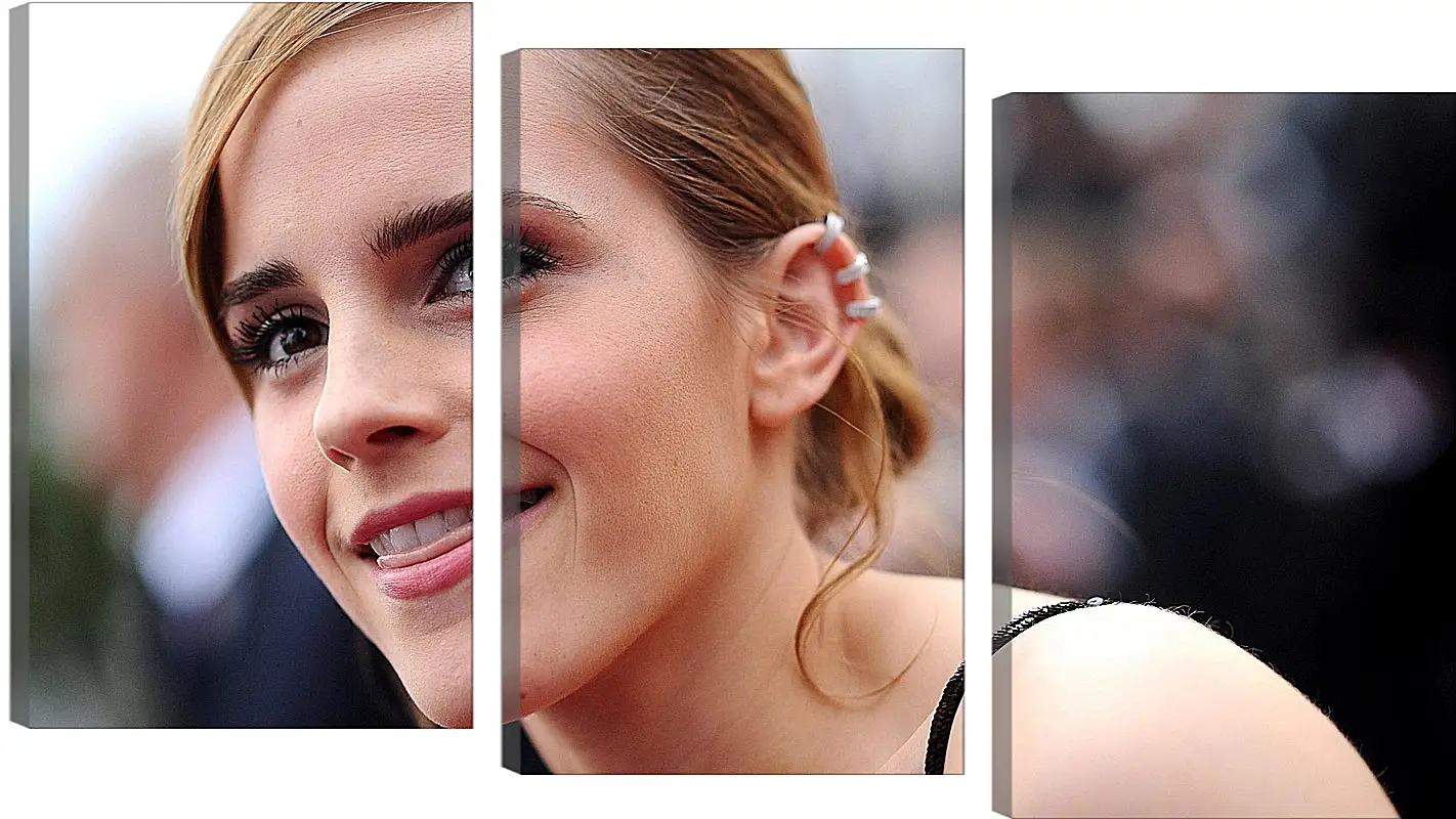 Модульная картина - Эмма Уотсон. Emma Watson