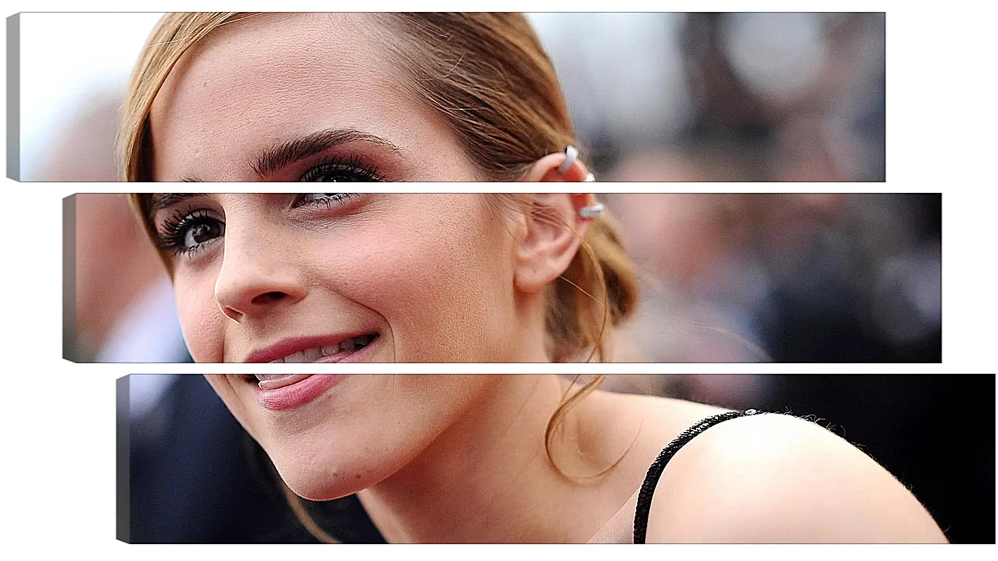 Модульная картина - Эмма Уотсон. Emma Watson