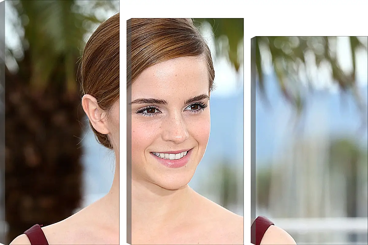 Модульная картина - Эмма Уотсон. Emma Watson