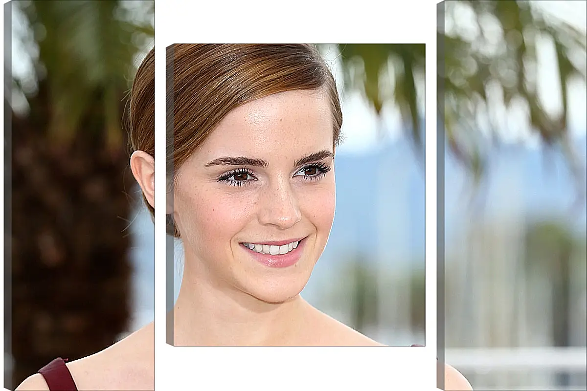 Модульная картина - Эмма Уотсон. Emma Watson