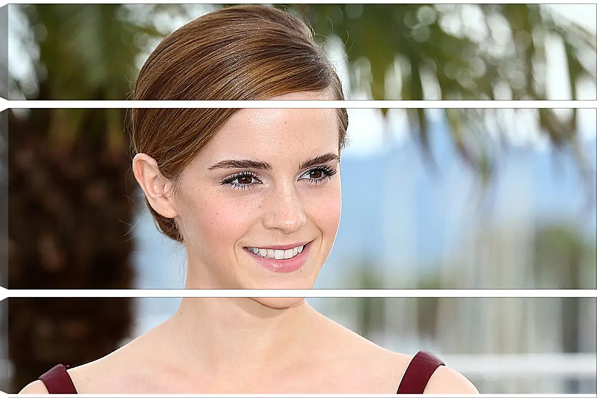 Модульная картина - Эмма Уотсон. Emma Watson