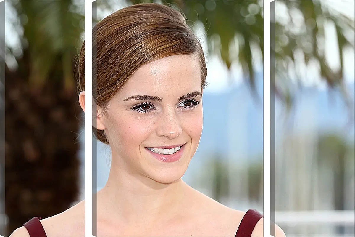 Модульная картина - Эмма Уотсон. Emma Watson