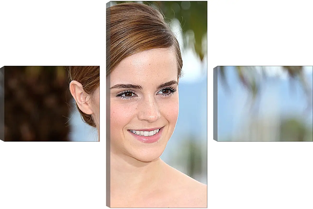 Модульная картина - Эмма Уотсон. Emma Watson