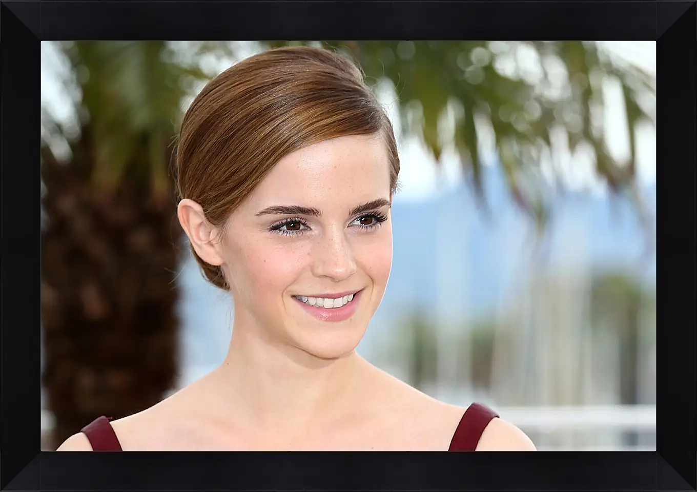 Картина в раме - Эмма Уотсон. Emma Watson